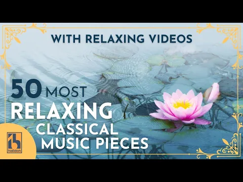 50 Most Relaxing and Peaceful Classical Music Pieces | with Videos of Calming Scenes