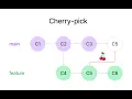 Cherry-picking in WebStorm VSCode