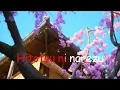 ガイドなし桜坂福山雅治 一 Sakurazaka - Fukuyama Masaharu Romaji Lyrics
