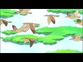 Katy Perry - Hummingbird Heartbeat ( Slowed + Reverb )
