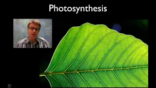 Photosynthesis
