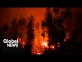 Download Lagu Munro Lake wildfire: Fast moving flames force 100s from their homes in BC