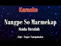Download Lagu Karaoke : Nangpe so marmekap (Nada Rendah)