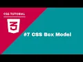 CSS Tutorial - CSS Box Model