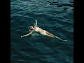COSITA LINDA - ELENA ROSE & Justin Quiles
