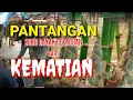 Download Lagu PANTANGAN MASYARAKAT ADAT DAYAK PESAGUAN di saat Ada KEMATIAN.