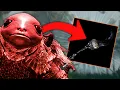 I Started Using FALLINGSTAR BEAST JAW On My STRENGTH BUILD Elden Ring PvP