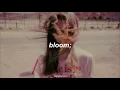 Bloom - The Paper Kites (Traducida al español)