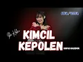 Download Lagu KIMCIL KEPOLEN - IKE KEKEI MAREMA - VERSI KOPLO BAJIDOR - LIVE SESSION RECORD
