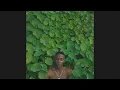 Sunni Colón - Flowerbug (Interlude)