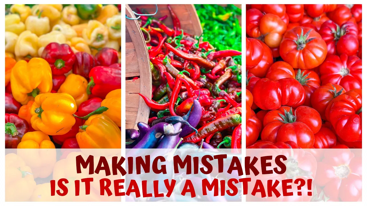 MAKING MISTAKES - MY THOUGHTS - RAW VEGAN DIET & HEALTHY HABITS