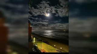 انا حبيت دندنها