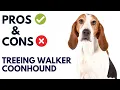 Treeing Walker Coonhound Dog Pros and Cons Treeing Walker Coonhound Advantages and Disadvantages