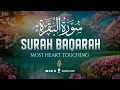 Download Lagu Surah AL BAQARAH Full (سورة البقره) ULTIMATE HEART RELAXING SOOTHING RECITATION | WQ