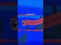 Download Lagu Mega sea Eater vs Death worm🩸☠️💀#trending #viralvideo #animation #kaiju #godzilla #batlle #edit