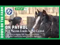 On Patrol with Macomb County Animal Control Down on the Farm