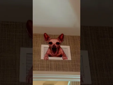 SOMEONE’S IN THE ATTIC 😱