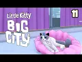 Little Kitty Big City Ep 11 - Finding The Famous Taffy