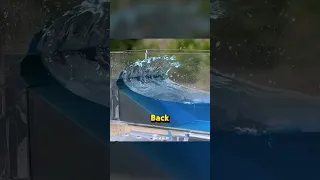 چگونه سونامی را متوقف کنیم   دندنها