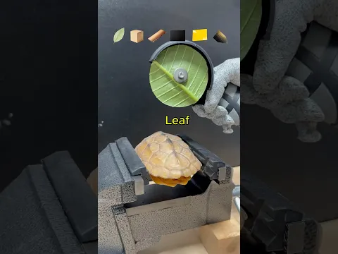 Which one can cut turtle shell?
