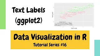 Plotting in R using ggplot2 Plotting texts and labels Data Visualization Basics in R
