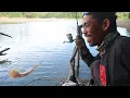 Download Lagu Mancing Di Sarang Ikan Hantu Lihat Yang Terjadi 