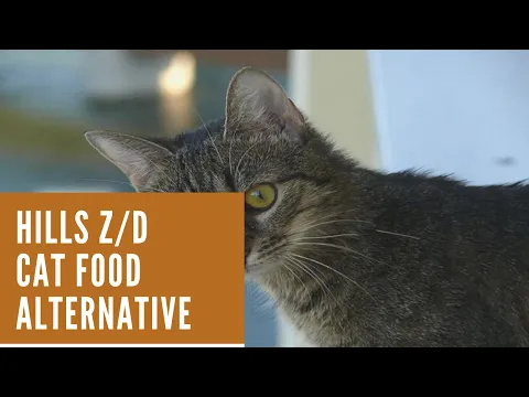 Download MP3 Hills Z/D Cat Food Alternative