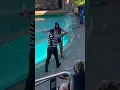 Download Lagu You Savage, Tomm! Don't Play With A Girl Like That! 💔🤣 | SeaWorld Orlando