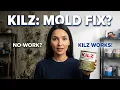 Killz paint and mold What works vs what does not