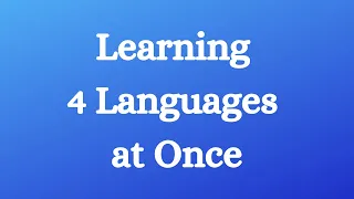 Learning Two Languages at Once? How About Learning Four?