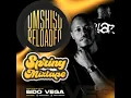 Download Lagu Bido Vega Umshiso Reloaded Spring Mixtape 2025