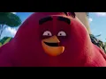 I m Da Biggest Bird