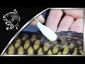 Download Lagu CARP FISHING CARE - HOW TO USE THE NASH MEDICARP KIT WITH ALAN BLAIR - NASH TACKLE FAQ