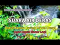 Download Lagu SUARA GEMERICIK AIR Deras Untuk Semua Burung Macet Bunyi - Suara Air Terapi Burung