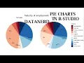 How to Create Pie Charts in R-Studio The Complete Step-by-Step Guide
