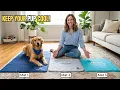6 Best Dog Cooling Mats 2026 Don t Let Your Pup Overheat