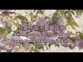 Download Lagu 你能不能不要离开我 🍒Ni Neng Bu Neng Bu Yao Li Kai Wo🍒 Bisakah Kamu Tidak Meninggalkan Ku_lyrics