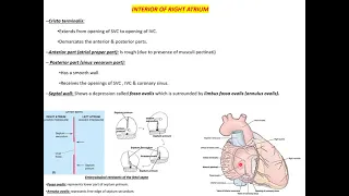 heart major vessels quiz BCR
