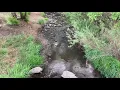 Ruidoso New Mexico Along the River RV Park