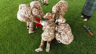 يا شهيد دندنها