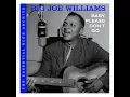 She Left Me a Mule - Big Joe Williams
