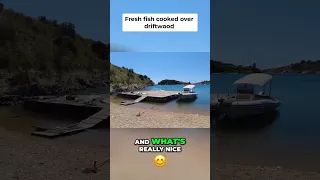 Authentic Beach BBQ  Cooking Local Fish on Driftwood!