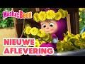 Download Lagu Masha en de Beer 👱‍♀️🐻 De bloemenplaag ☁️🌼🧪 Een verzameling cartoons voor kinderen over Masha