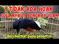 Download Lagu 100% EMOSI || Pancingan Murai Batu Gacor Anti Ngukluk, Murai Diam menjadi Semangat Bunyi Gacor ON