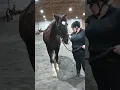 Cheery Acres February 2023 Adult Showmanship - Brandi Sturdivant Kupid Shuffle