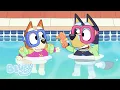 Download Lagu Het Zwembad | Volledige Aflevering | Bluey - Officieel Nederlands kanaal