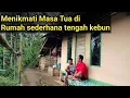 Download Lagu Menikamti Masa Tua Di Rumah Sederhana Tengah Kebun