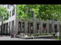 Campus Life in Brooklyn