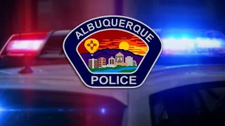 Albuquerque Police Department launches online crime mapping system