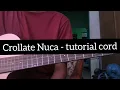 Tutorial cord Nuca Crollate